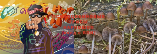 ПСИЛОЦИБИНОВЫЕ ГРИБЫ Магас