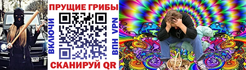 Псилоцибиновые грибы Psilocybine cubensis  Беслан 