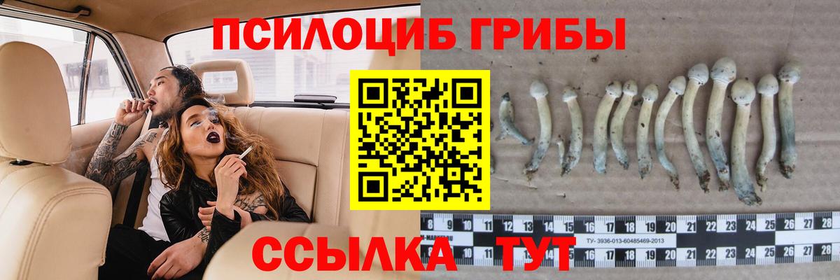Псилоцибиновые грибы Psilocybe  Вход с VPN  Беслан 