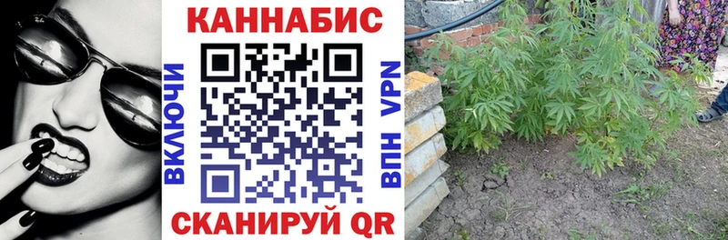 Шишки марихуана тримм  Беслан 